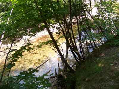 Jigger Johnson Campground on Kancamagus Highway NH